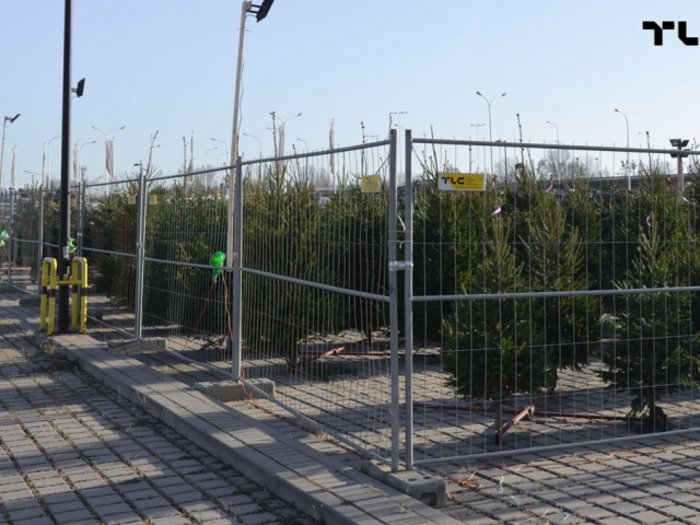 mobilt-mesh-panels-for-rent-christmas-trees-www-10